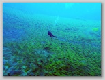 Lago di Posta Fibreno ai piedi delle montagne del Parco Nazionale d'Abruzzo, Lazio e Molise