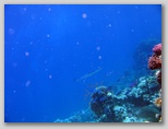 Sharm El Sheikh