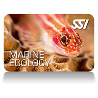 maRINE eCOLOGY